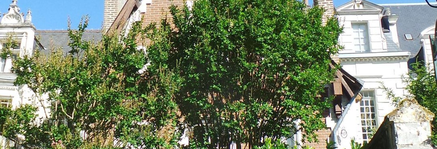 Maison 7 Pièces 256 m² à vendre à Amboise (37400)