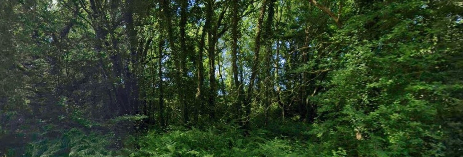 Terrain  3887 m² à vendre à Lannéanou (29640)