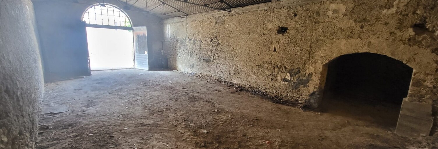 Commerce 1 Pièce 274 m² à vendre à Trèbes (11800)