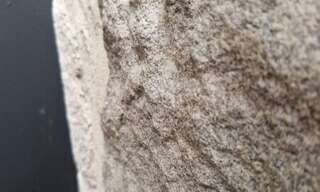 Commerce  78 m² à louer à Vannes (56000)