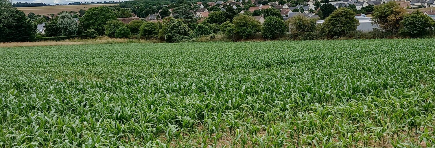 Terrain  437 m² à vendre à Thaon (14610)