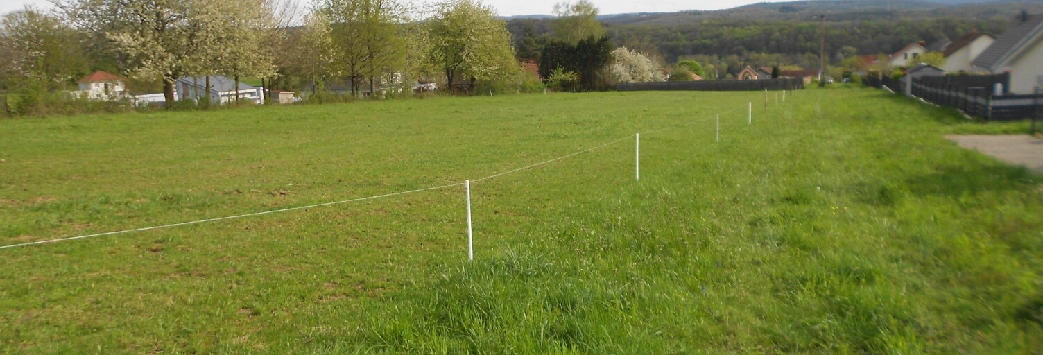 Terrain  4303 m² à vendre à Longevelle-sur-Doubs (25260)