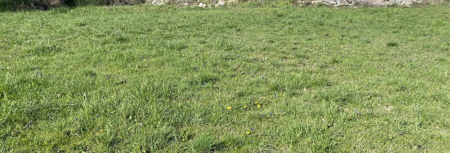 Terrain  666 m² à vendre à Saint-Rome-de-Tarn (12490)