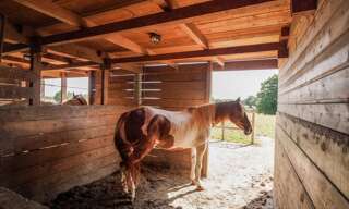 Commerce 8 Pièces 352 m² à vendre à Châtillon-sur-Chalaronne (01400)