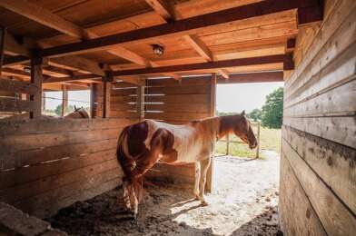 Commerce 8 pièces 615000 €