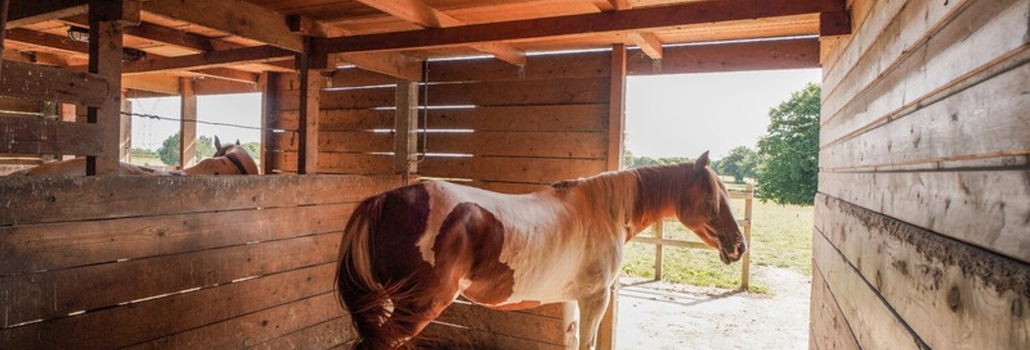 Commerce 8 Pièces 352 m² à vendre à Châtillon-sur-Chalaronne (01400)