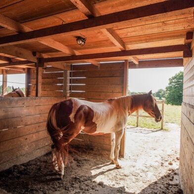 Commerce 8 pièces 615000 €