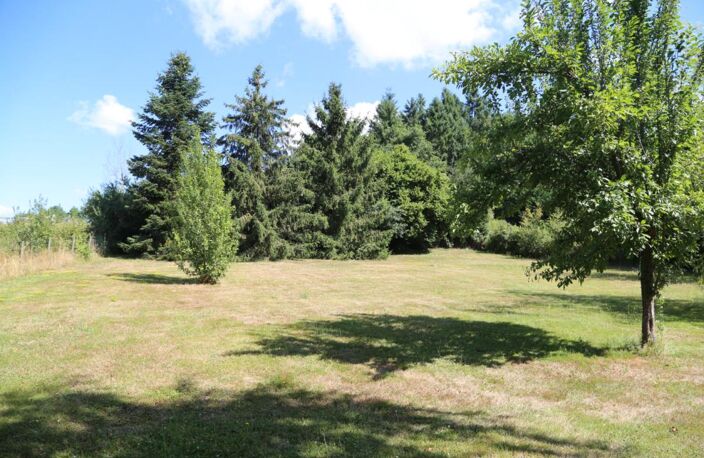 Charmante maison rénovée sur joli parc arboré — photo 3