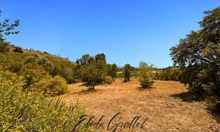 Terrain  3070 m² à vendre à Caunes-Minervois (11160)