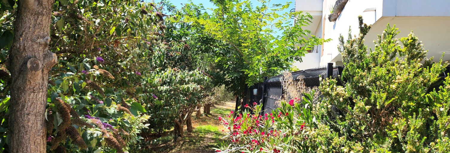 Appartement 2 Pièces 41 m² à vendre à Marseille 14 (13014)