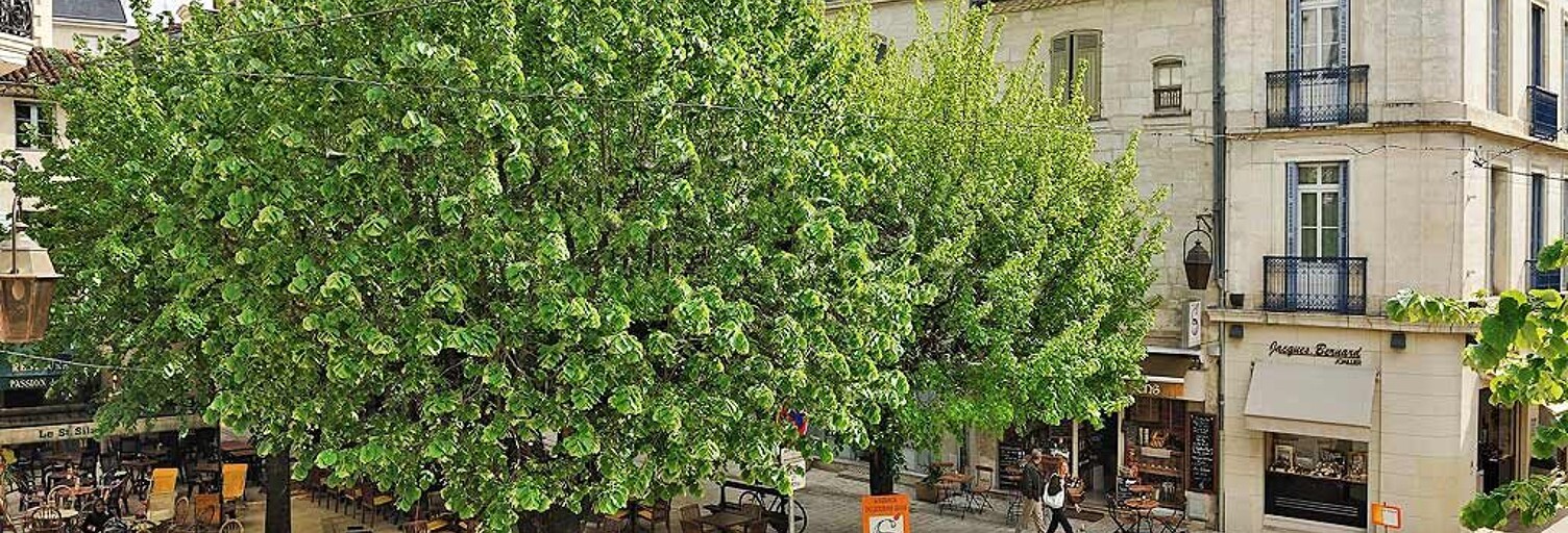 Immeuble  290 m² à vendre à Périgueux (24000)