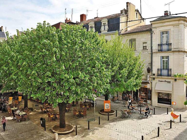 Immeuble de Rapport - 6 Lots — photo 1