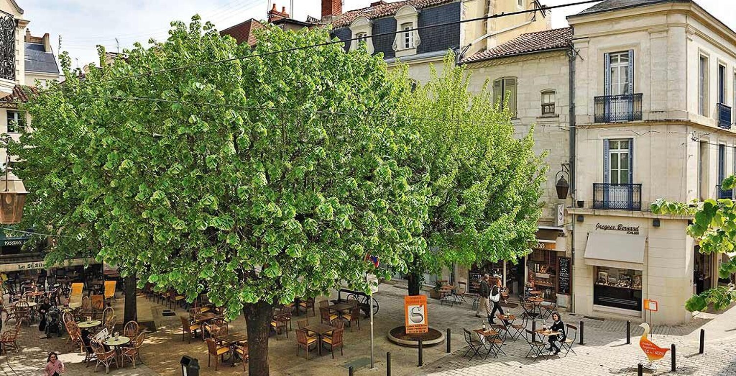 Immeuble de Rapport - 6 Lots — photo 1