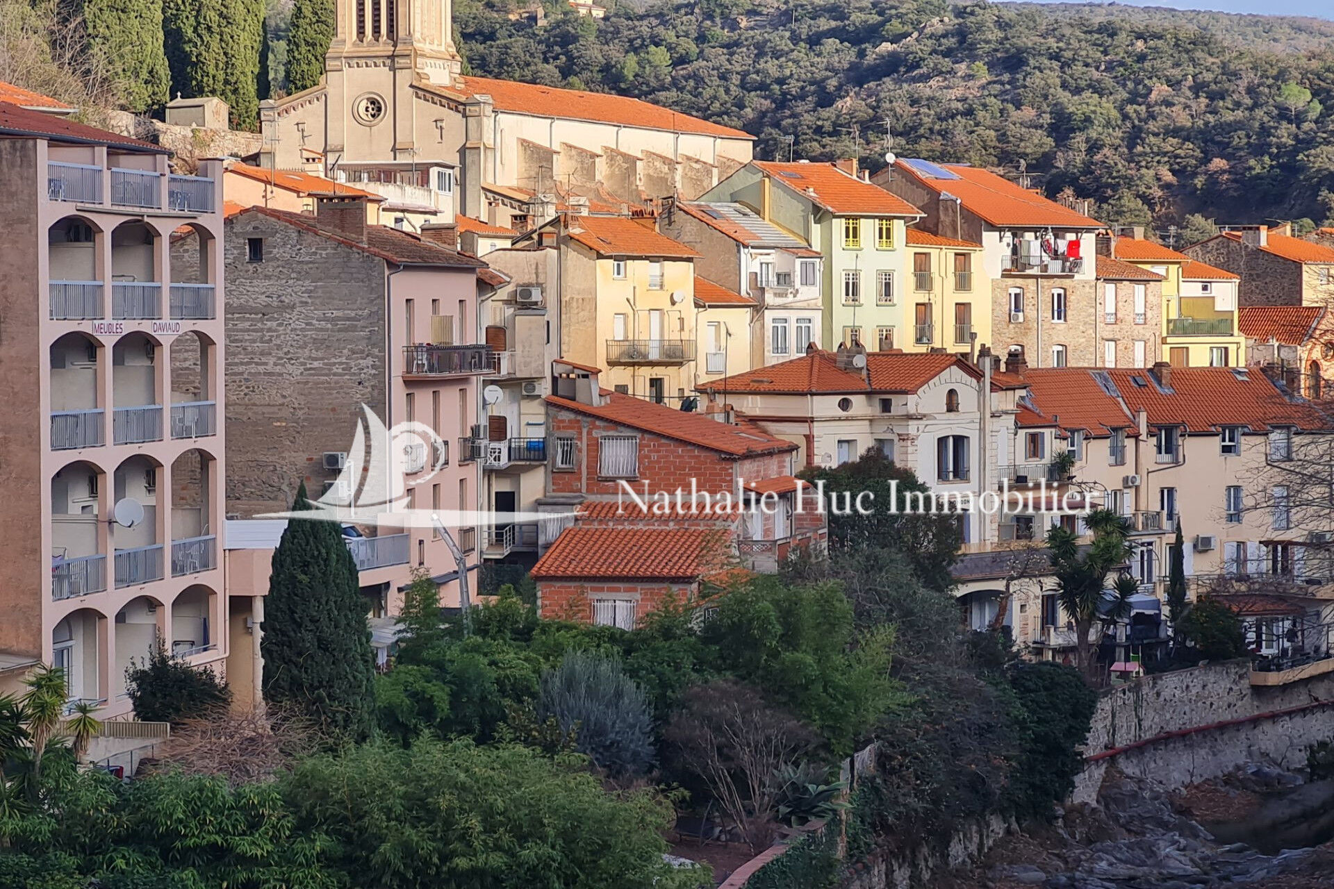 Villa / Maison 9 pièces  à vendre Amélie-les-Bains-Palalda 66110