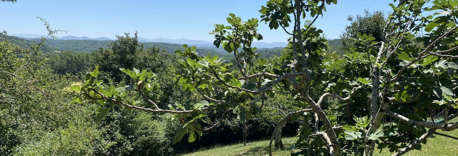 Maison 5 Pièces 126 m² à vendre à Mirepoix (09500)