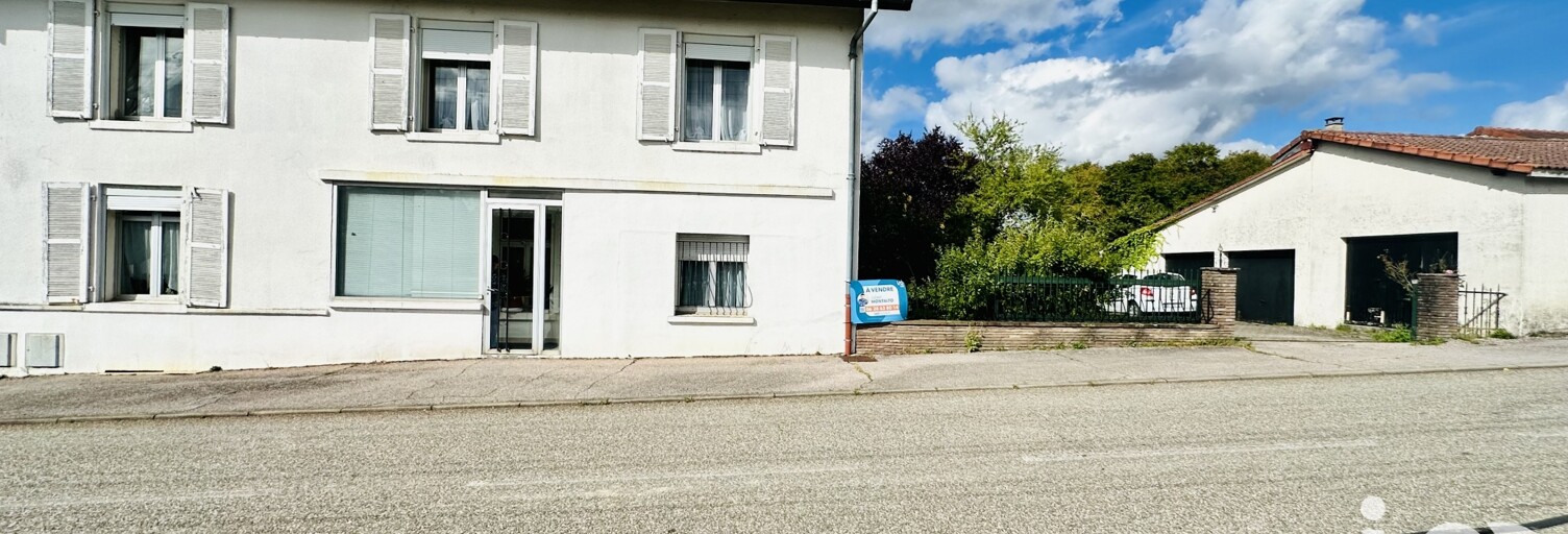 Maison 8 Pièces 210 m² à vendre à Dieuze (57260)