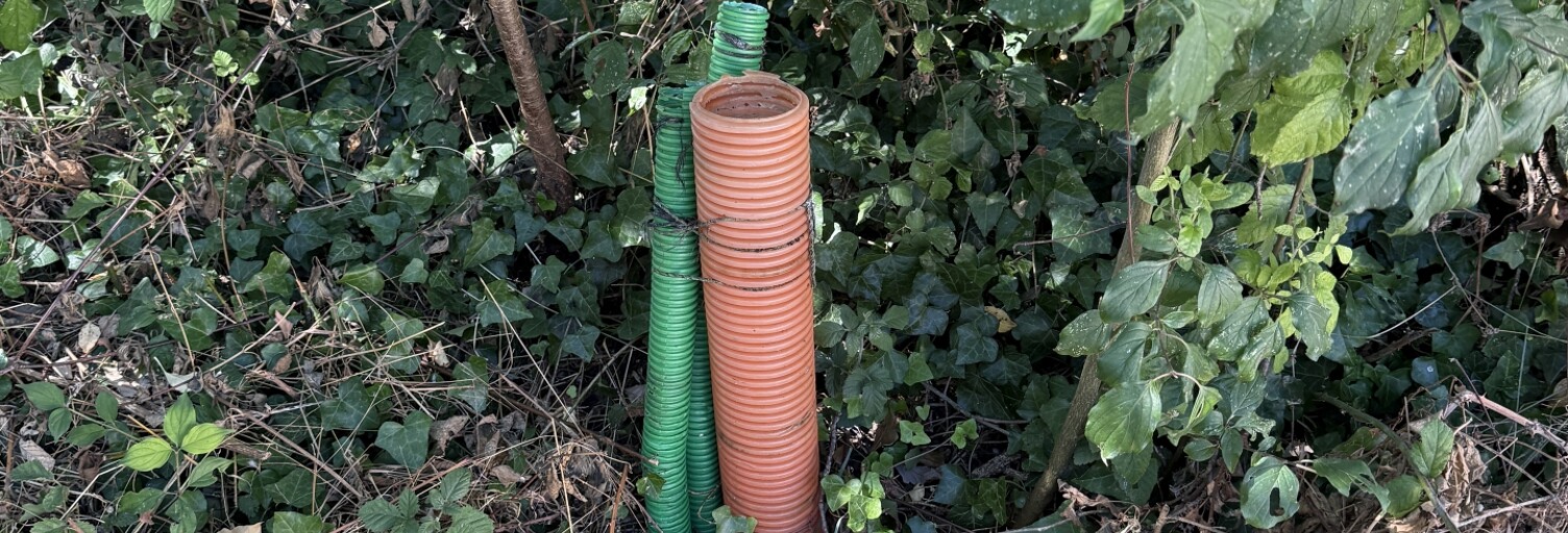 Terrain  6027 m² à vendre à Saint-Martial-de-Vitaterne (17500)