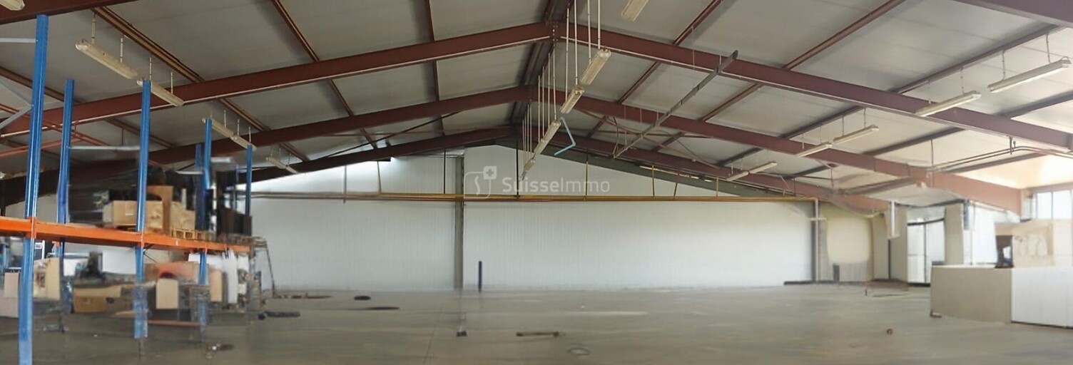 Commerce  700 m² à vendre à Froideconche (70300)