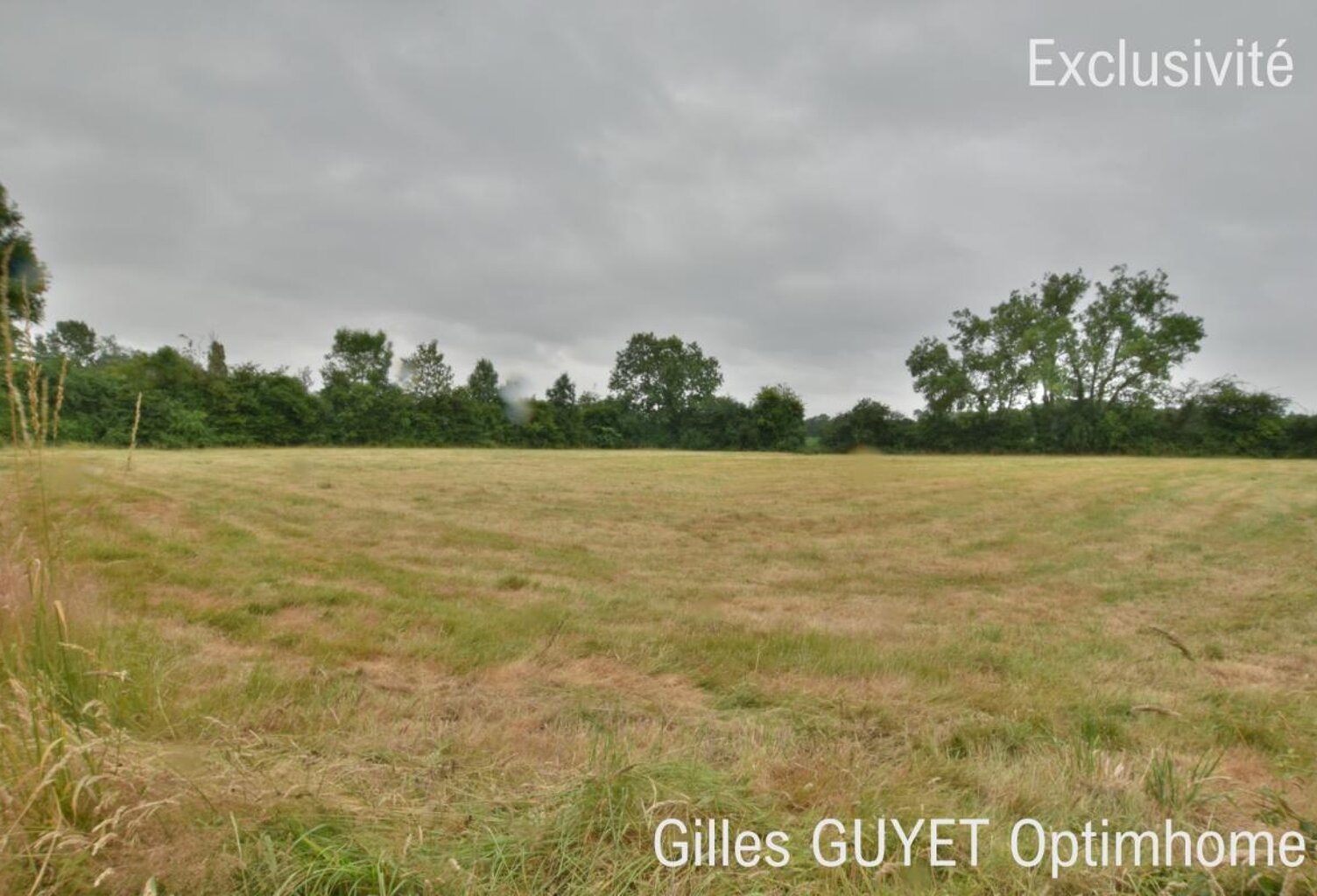 Terrain plat constructible de 5400M² 20MN de BERNAY, 35000€ — photo 1