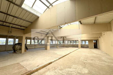 Local industriel  1350000 €