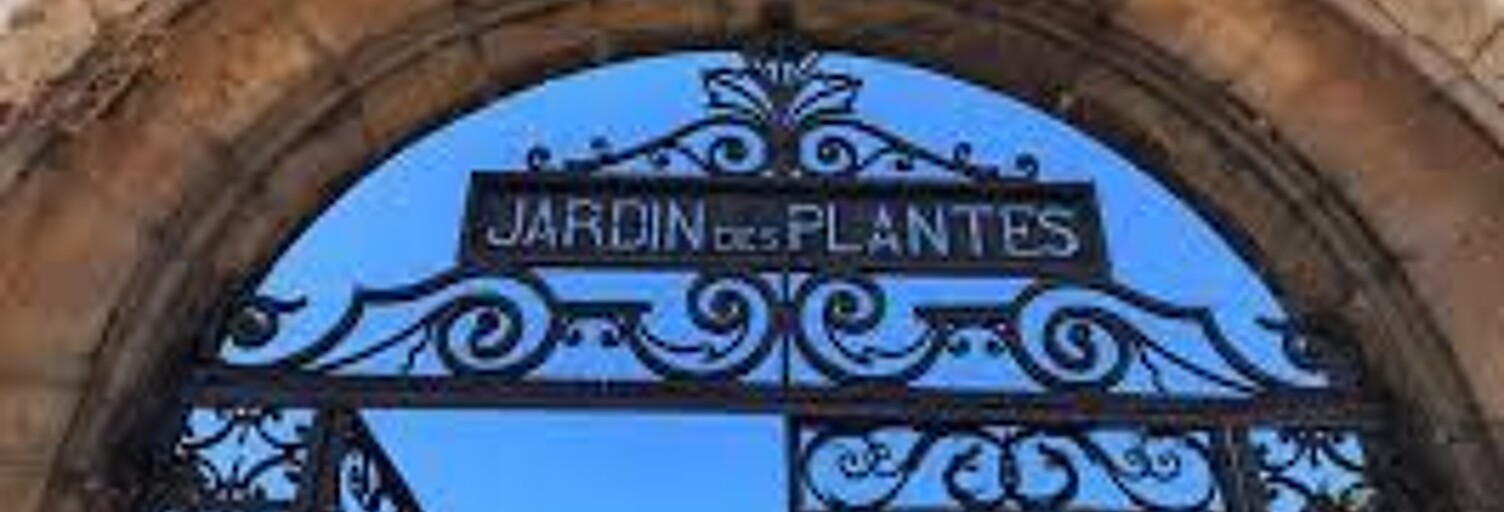 Appartement 2 Pièces 39 m² à vendre à Toulouse (31400)