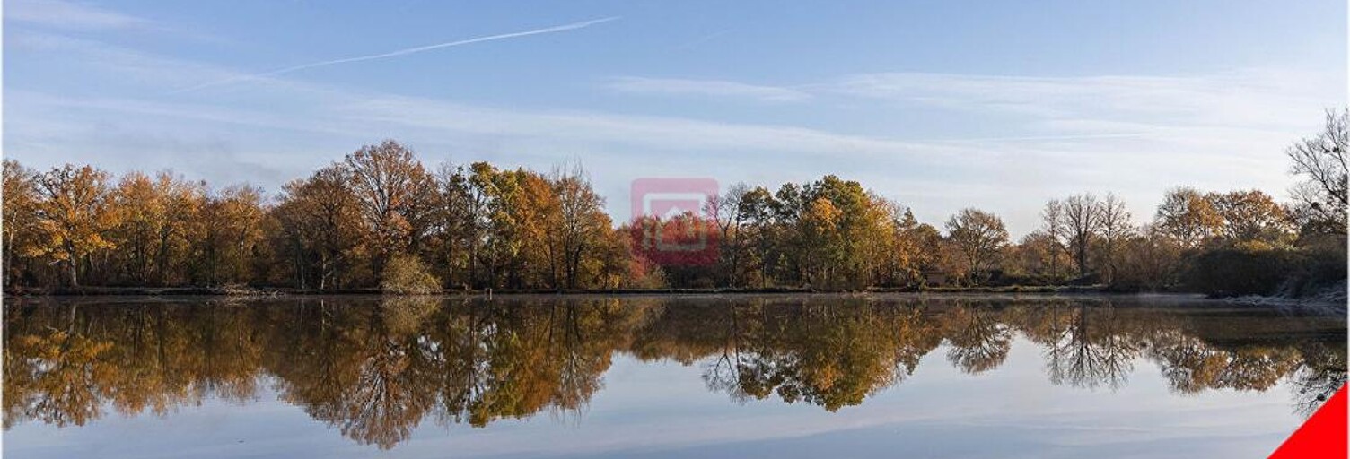 Commerce  166990 m² à vendre à Courmemin (41230)