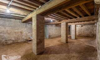 Maison 7 Pièces 271 m² à vendre à Jassans-Riottier (01480)