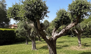 Terrain 1000 m² à construire Grimaud (83310)