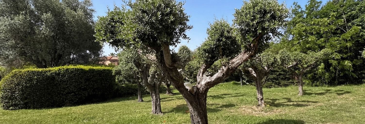 Terrain 1000 m² à construire Grimaud (83310)