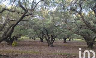 Terrain  35260 m² à vendre à Le Bosc (34700)