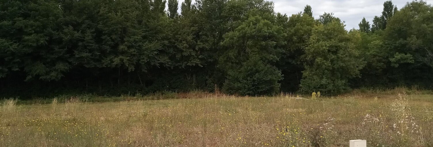 Terrain   m² à vendre à Montpellier-de-Médillan (17260)