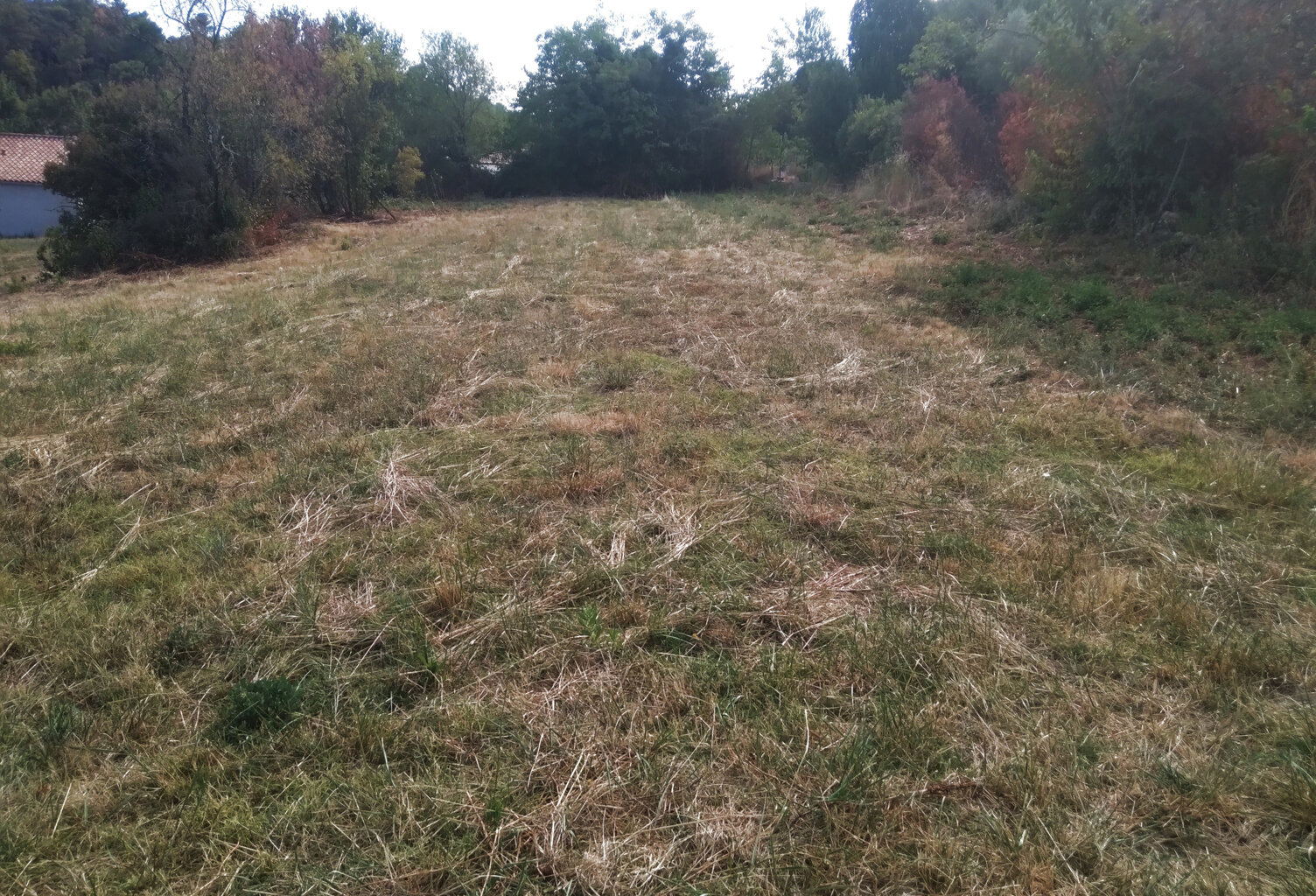 VENTE - TERRAIN - 1572 M2 - ROUSSON — photo 1