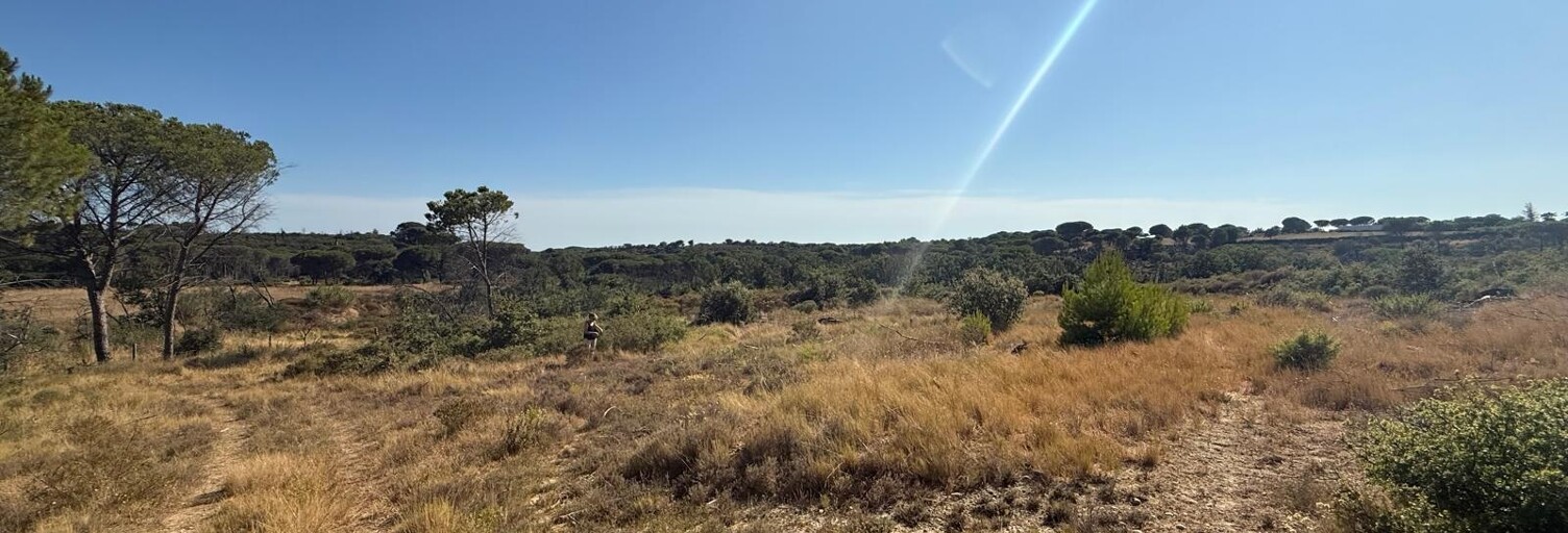 Terrain  3570 m² à vendre à Vauvert (30600)