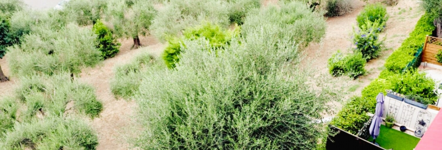 Appartement 4 Pièces 80 m² à vendre à Grasse (06130)