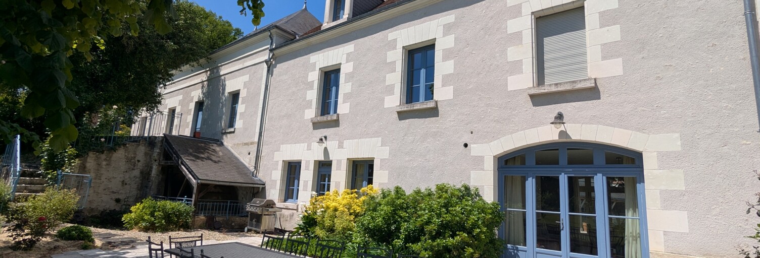 Maison 7 Pièces 316 m² à vendre à Bléré (37150)