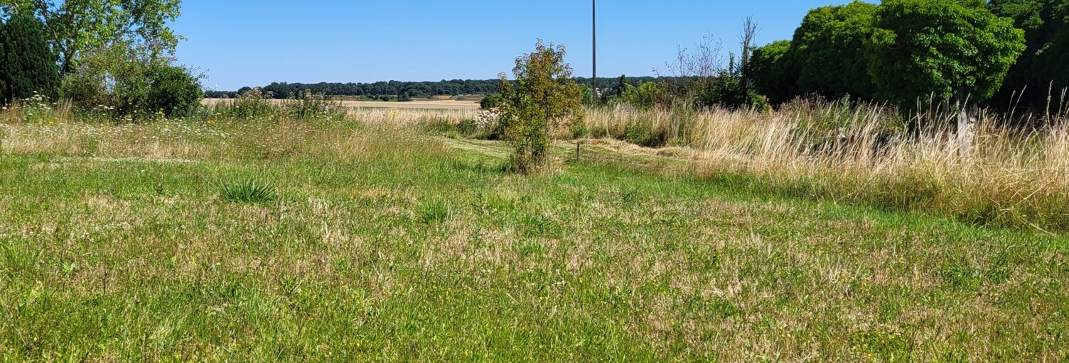 Terrain  1100 m² à vendre à Bouchy-Saint-Genest (51310)