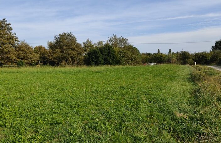 TERRAIN PLAT DE 2408 M² , QUARTIER CALME — photo 5