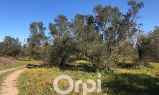 Terrain  5800 m² à vendre à Beaucaire (30300)