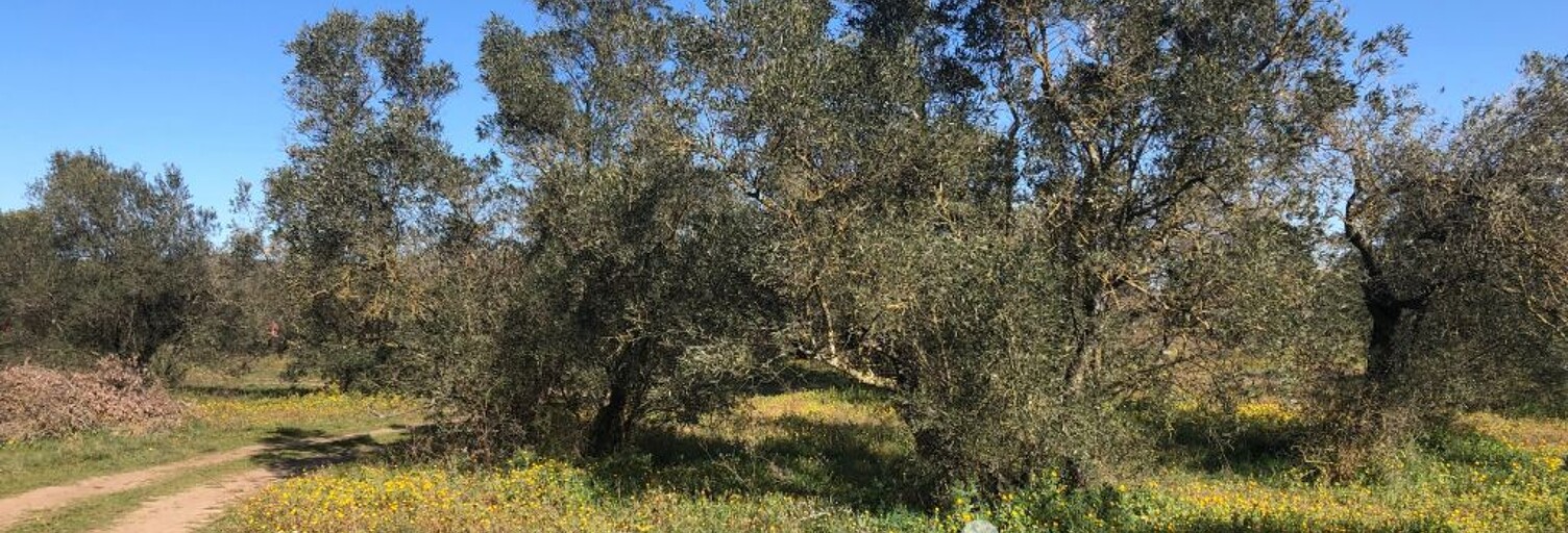 Terrain  5800 m² à vendre à Beaucaire (30300)