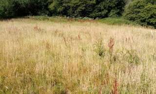 Terrain  1200 m² à vendre à Héricourt-en-Caux (76560)