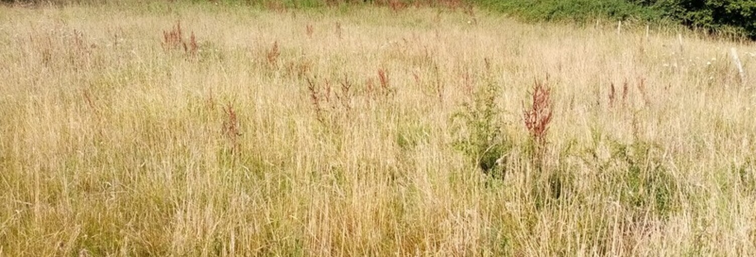 Terrain  1200 m² à vendre à Héricourt-en-Caux (76560)