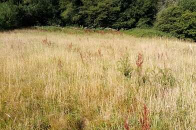 Terrain  66500 €