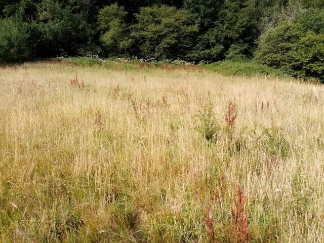 Dpt Seine Maritime (76), à vendre HERICOURT EN CAUX terrain — photo du bien