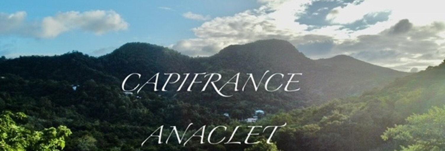 Terrain  800 m² à vendre à Les Anses-d'Arlet (97217)