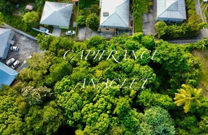   À vendre – Terrain de 800 m² avec vue campagne – Anses-d'Arlet — photo 2