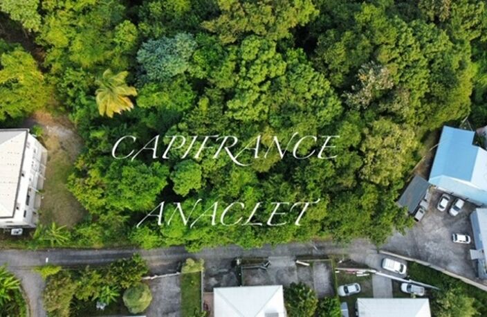   À vendre – Terrain de 800 m² avec vue campagne – Anses-d'Arlet — photo 3