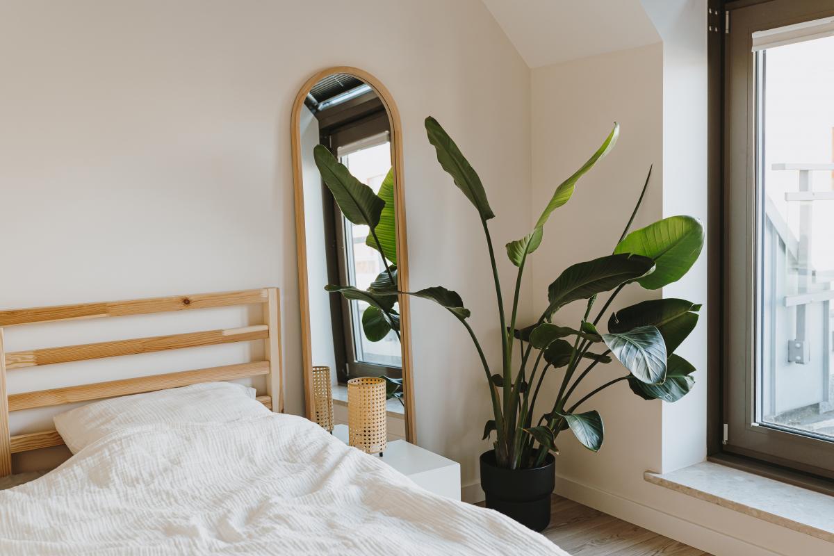 Appartement neuf 4 pièces 85 m²