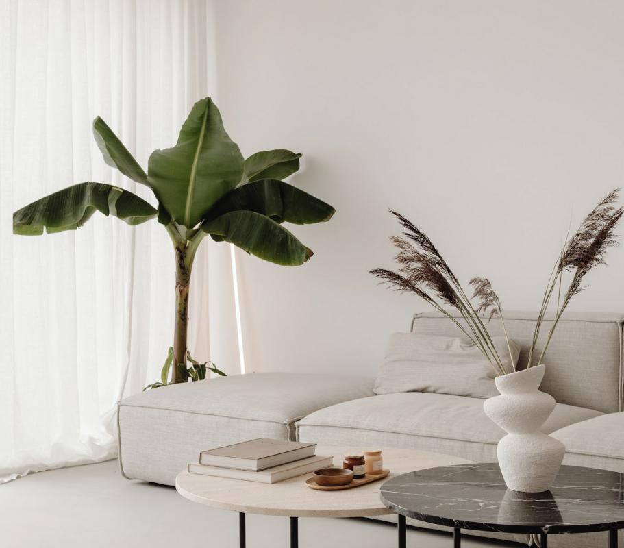 Appartement neuf 2 pièces 50 m²