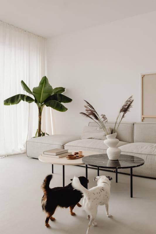 Appartement neuf 2 pièces 45 m²