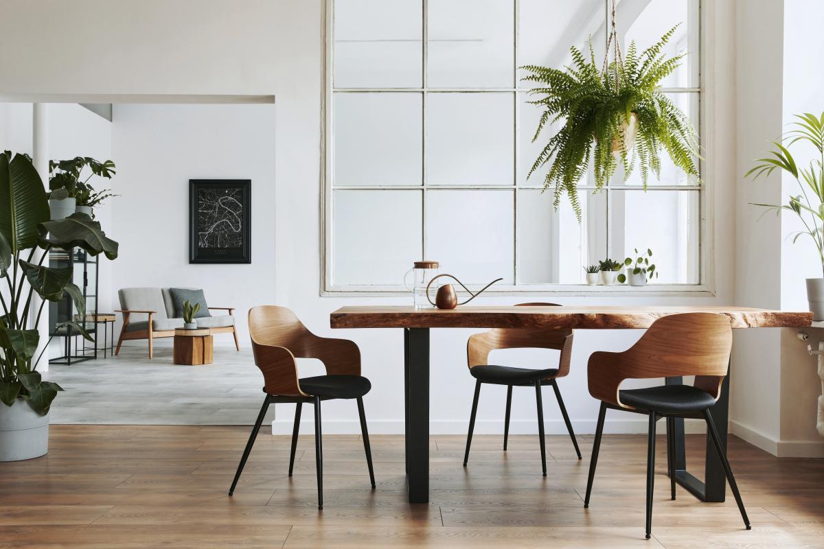 Appartement neuf 2 pièces 41 m²